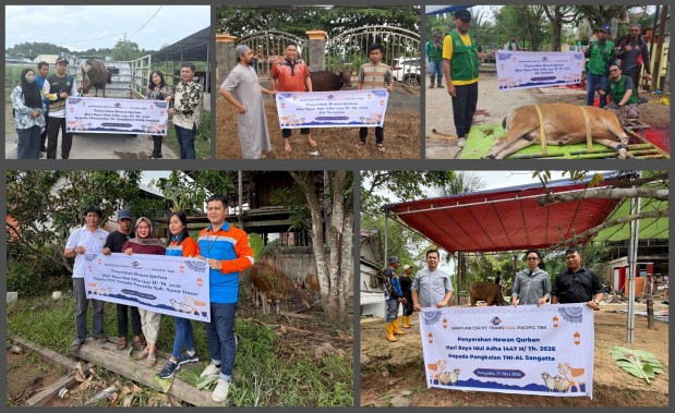 PT Transcoal Pacific Tbk Salurkan 5 Ekor Sapi Qurban untuk Masyarakat di Bengalon dan Sangatta pada Hari Raya Idul Adha 1447 H